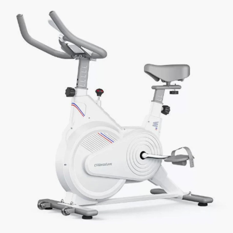 Home Gym Unit - Indoor Stationary Spin Bike, Silent Magnetic
