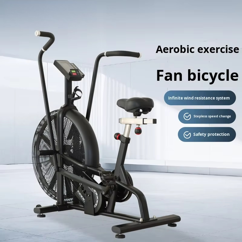 Commercial Wind Resistance Aer - Home Gym Bike recension och pris
