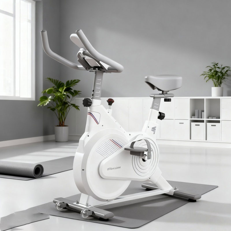 Indoor Stationary Spin Bike, S - Home Gym Unit recension och pris